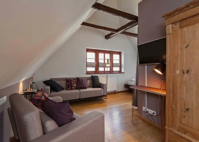 فندق Boutique Am Schillerplatz دريسدن